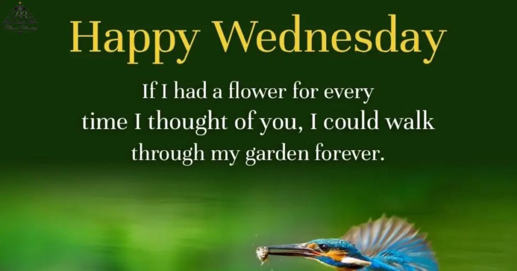 good-morning-wednesday-messages